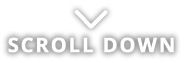 SCROLL DOWN