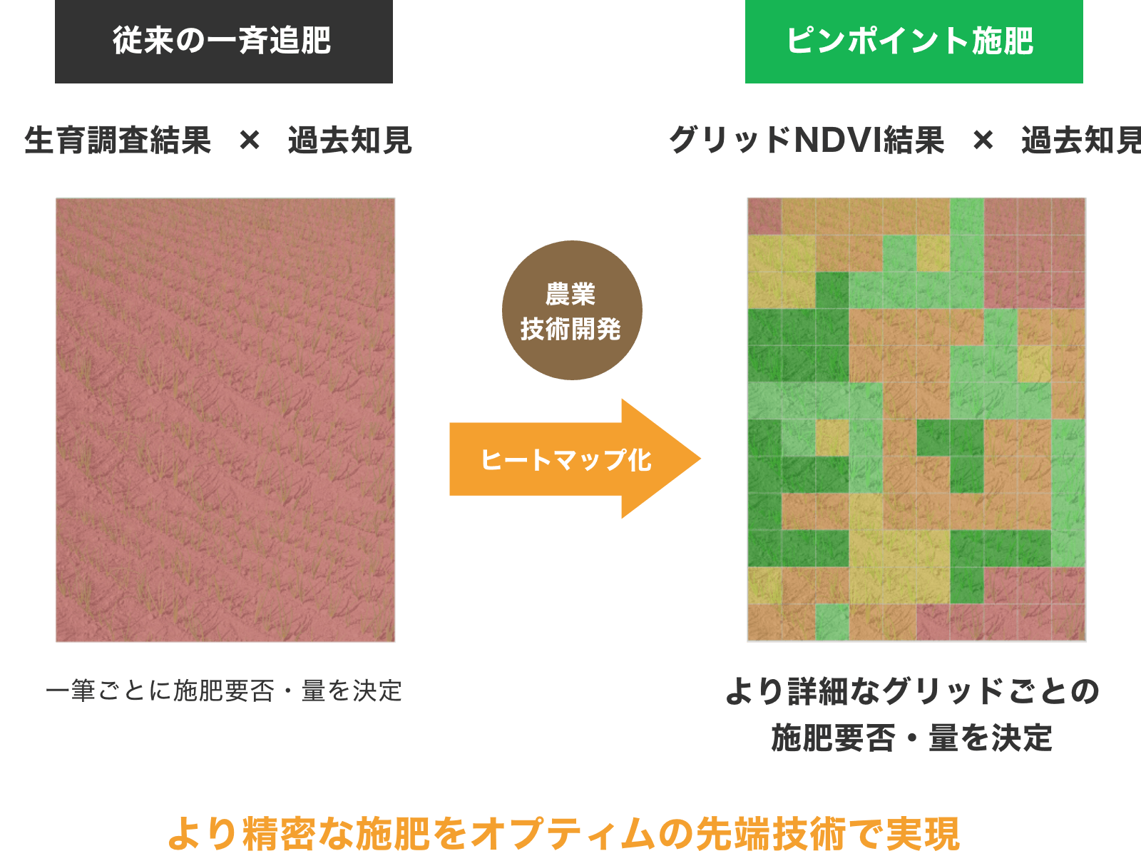 従来の一斉追肥 ピンポイント施肥