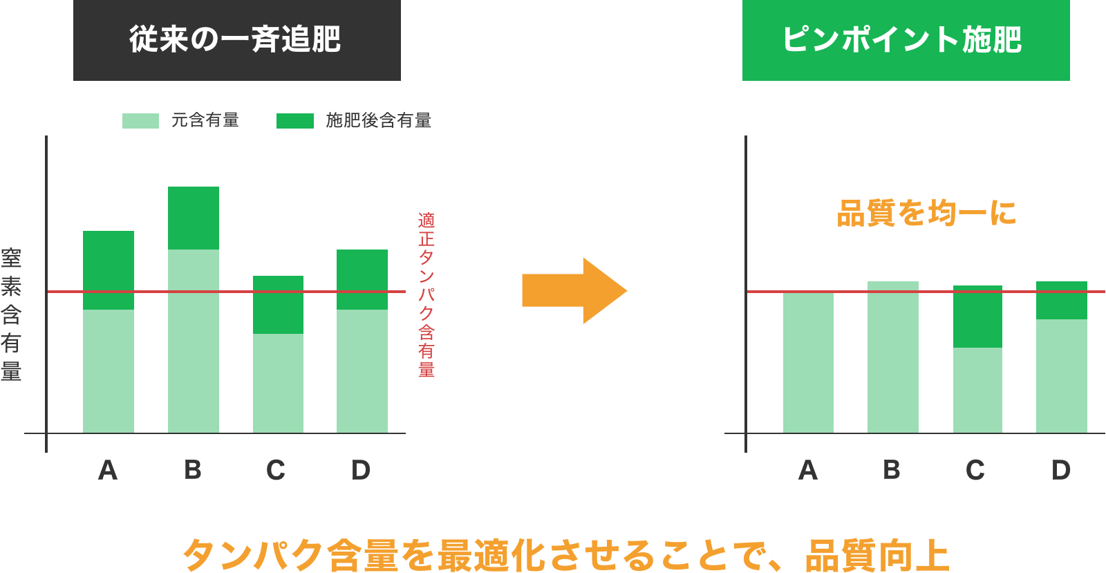 従来の一斉追肥 ピンポイント施肥