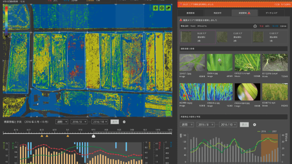 生育分析を行うことで高品質・高収量な作物を