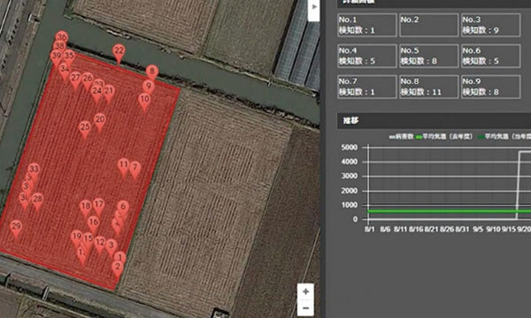 ドローンが圃場を撮影し、病害虫発生地点を判定